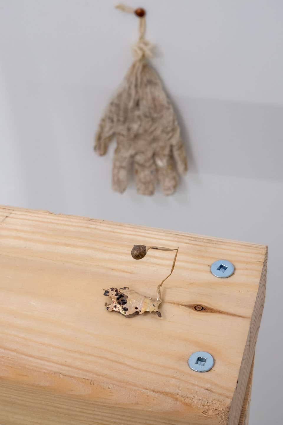 Solarity at NAMARA projects